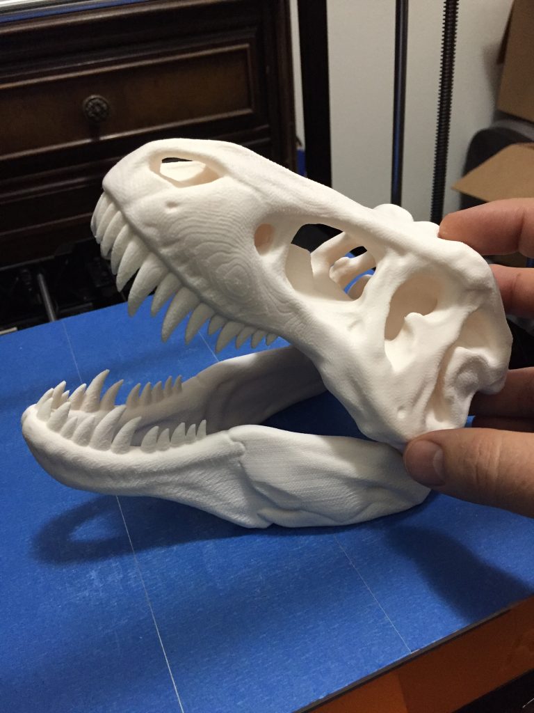 Finished skull huge dinosaur print ReliaBuild 3d